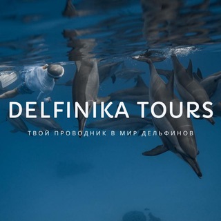 Telegram profile photo for DELFINIKA TOURS