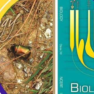 Telegram profile photo for BIOLOGY NOTES | STUDY MATERIAL l Allen notes | kota notes | Neet notes | Toppers notes |Biology Books