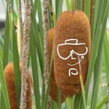 Telegram profile photo for 26(43)