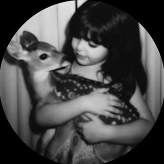 Telegram profile photo for وتّـر الـقـصـَيـد