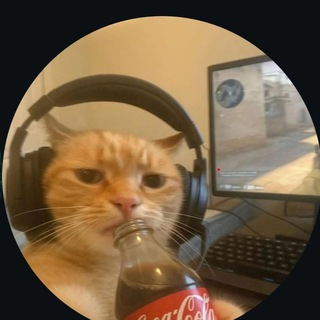 Telegram profile photo for Lucky's Gallery 🫡