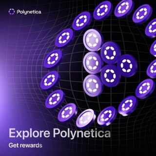 Telegram profile photo for Polynetica With Amir