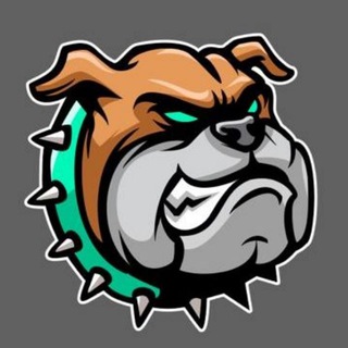 Telegram profile photo for BullDogeChain Portal