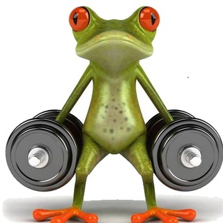 Telegram profile photo for Alles geht, nur Frösche hüpfen!