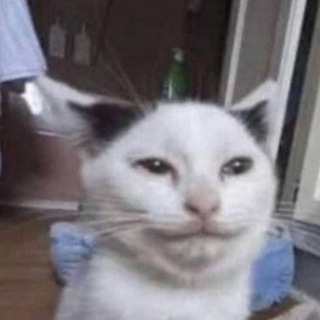 Telegram profile photo for Всякие приколы