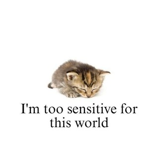Telegram profile photo for дупло совёнка