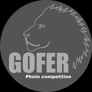 Telegram profile photo for GOFER COMPETITION