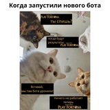 Telegram profile photo for Как играть в покер на деньги в интернете безопасно