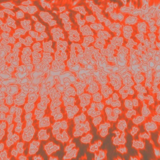 Telegram profile photo for Leniza Worldwild