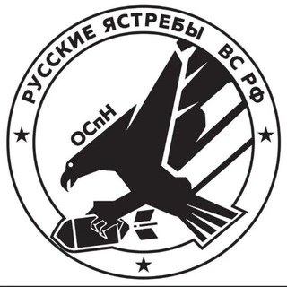 Telegram profile photo for ОСпН РУССКИЕ ЯСТРЕБЫ ВС РФ