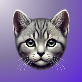 Telegram profile photo for Melo Community