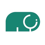 Telegram profile photo for Зелёный слон