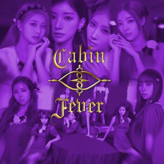 Telegram profile photo for PURPLE KISS Bolha