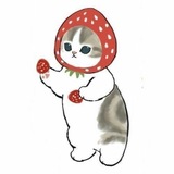 Telegram profile photo for MOFUSAND | PORTAL