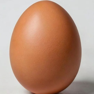 Telegram profile photo for Яичко