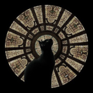 Telegram profile photo for мама кошка
