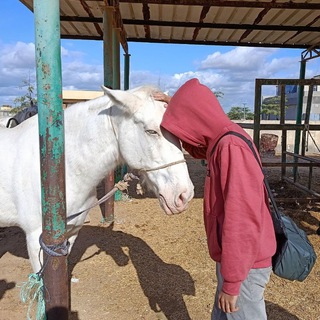 Telegram profile photo for استراحه محارب لم يحارب سوى نفسه
