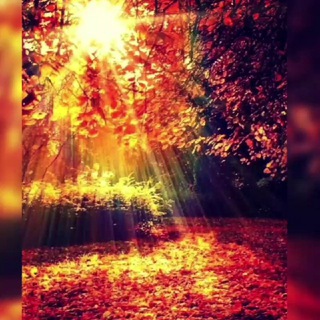 Telegram profile photo for 🌿نـــــــــــــــور ســان🌞