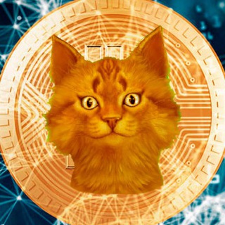 Telegram profile photo for 😸 КриптоКот - CryptoCot 🎁💸 Раздачи и Скидки на криптобиржах Кот 😸