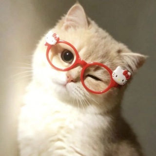 Telegram profile photo for تَبارك