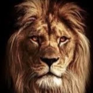 Telegram profile photo for Зов Природы 🦁