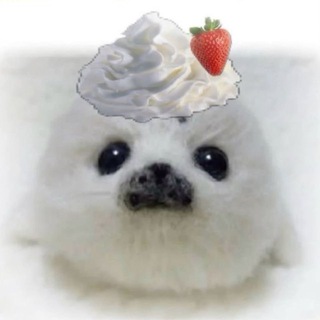 Telegram profile photo for 𝑲𝑾𝑶𝑲𝑨 𝑨𝑹𝑻 / 𝑸𝑲𝑴𝑰