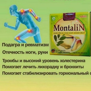 Telegram profile photo for Montalin