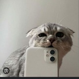 Telegram profile photo for Приколы с котами и собачками😄