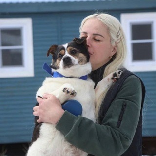 Telegram profile photo for Приют Друг Навсегда🐕🦺