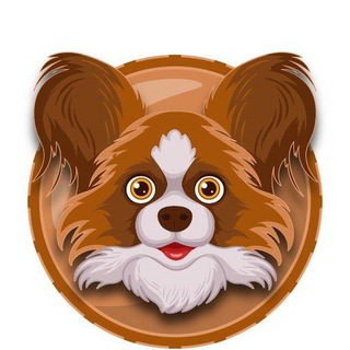 Telegram group profile photo for Papillon Token China