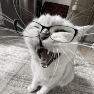 Telegram profile photo for 50 оттенков позора🤪