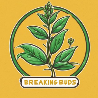 Telegram profile photo for BreakingBuds