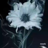 Telegram profile photo for Severnaya что-то пишет
