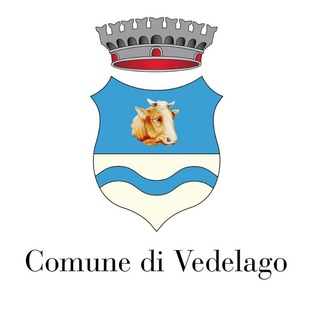 Telegram profile photo for Info Vedelago