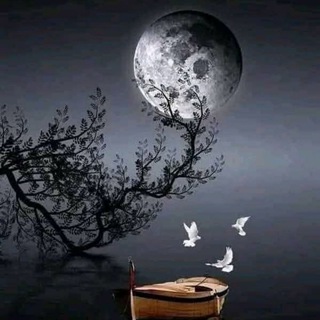 Telegram profile photo for عُزلة