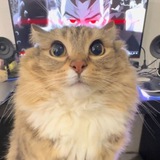 Telegram profile photo for Проекты от 𝘯𝘪𝘬𝘪𝘵𝘢