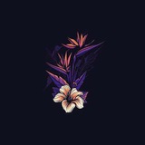 Telegram profile photo for M TV | Official 🔥