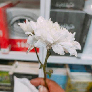 Telegram profile photo for كتب تستحق القراءة 👌PDF