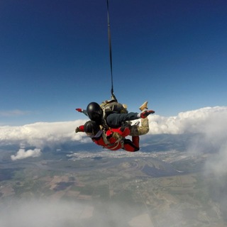 Telegram profile photo for Канал с признаками жизни