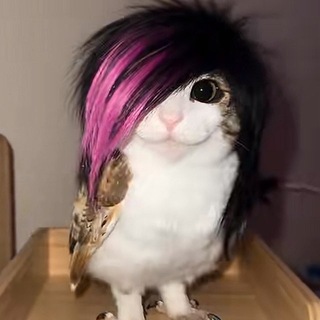 Telegram profile photo for Импортные говняшки