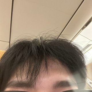 Telegram profile photo for Novaelisme