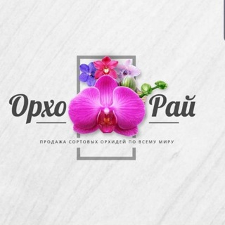 Telegram group profile photo for ОрхоРай