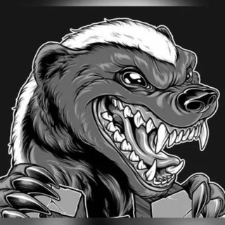 Telegram profile photo for 🦡