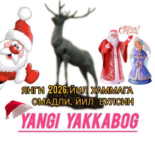 Telegram profile photo for YANGI YAKKABOG'