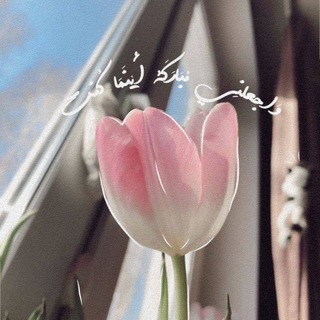 Telegram profile photo for بين القلب والسماء🩵🎀