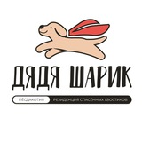 Telegram profile photo for ПёсДаКотиЯ🐱🐶 Дядя Шарик