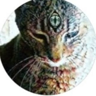 Telegram profile photo for Al.bina4171