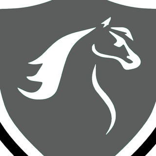Telegram profile photo for EMV Cyber Team