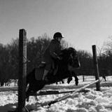 Telegram profile photo for Коноблог Алины и Капы🥹🐴