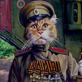 Telegram profile photo for Записки библиотечного кота милитариста